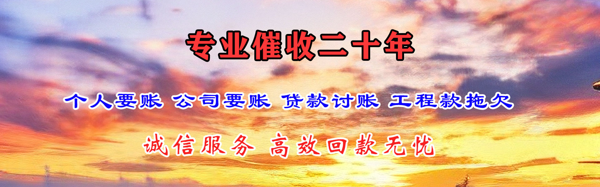 奉新催数公司